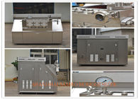 Professional High Performance Two Stage Homogenizer Equipment